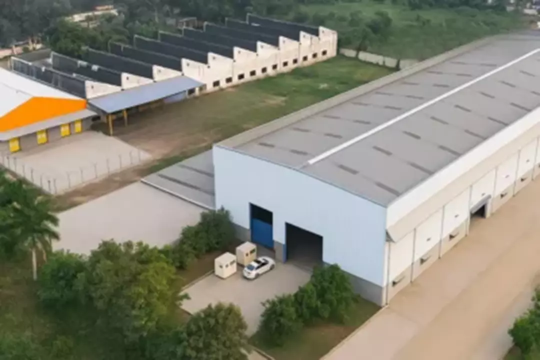 Untitled-design-e1752994767300